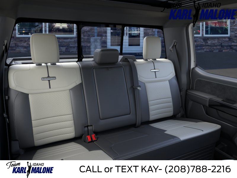 2025 Ford F-150 Lightning Platinum - Photo 11
