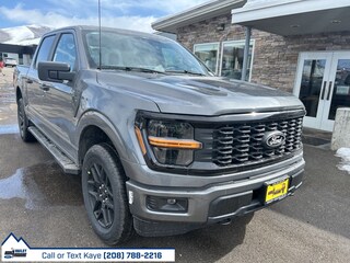 2025 Ford F-150 STX Truck