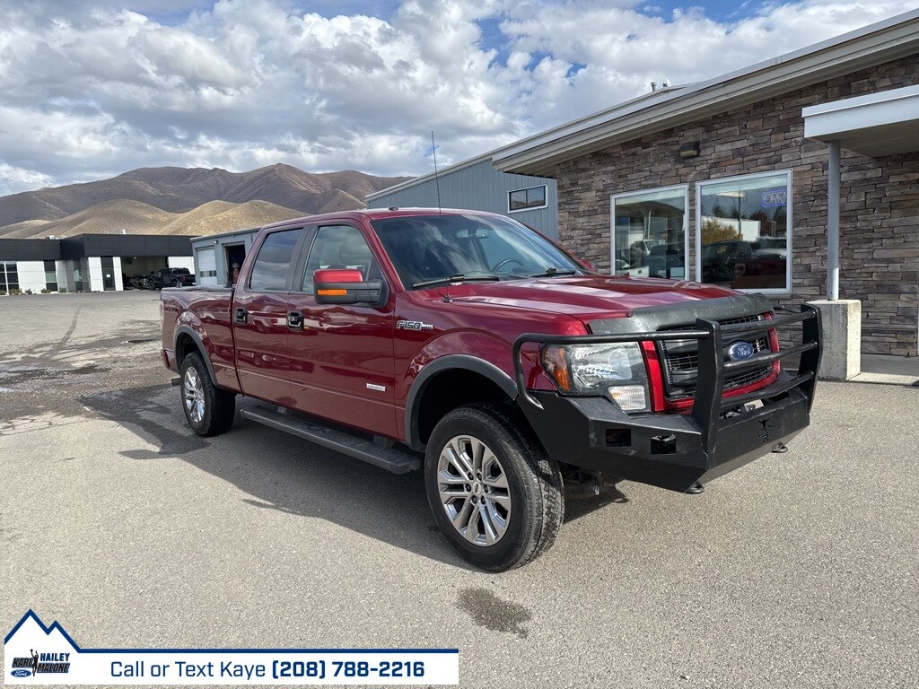2013 Ford F-150 Base photo 2