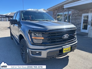 2025 Ford F-150 XLT Truck