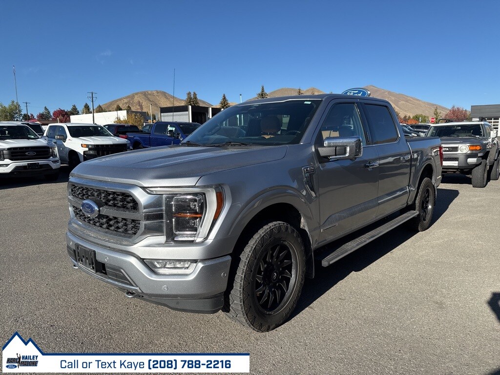 2021 Ford F-150 Platinum photo 2