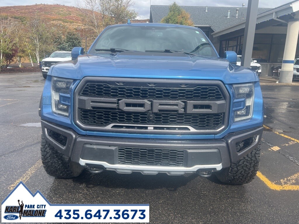 2019 Ford F-150 Raptor photo 2