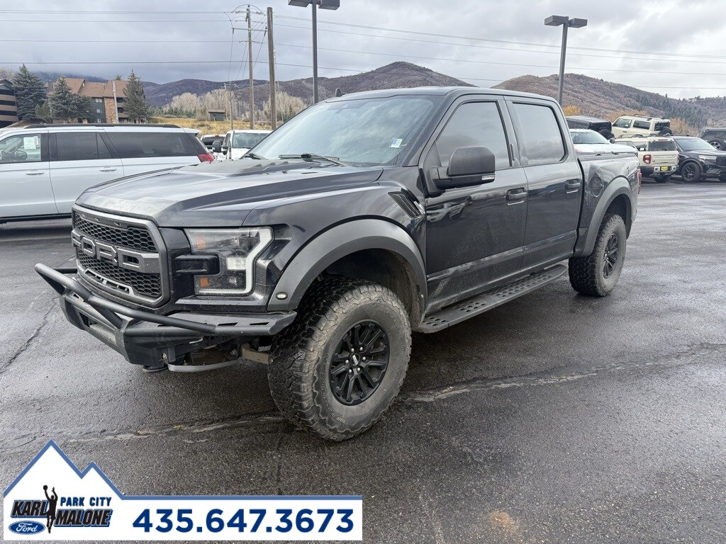2020 Ford F-150 Raptor photo 2