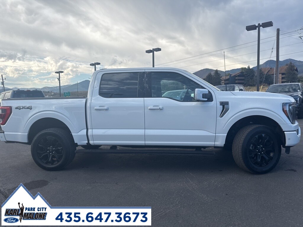 2022 Ford F-150 Platinum photo 2
