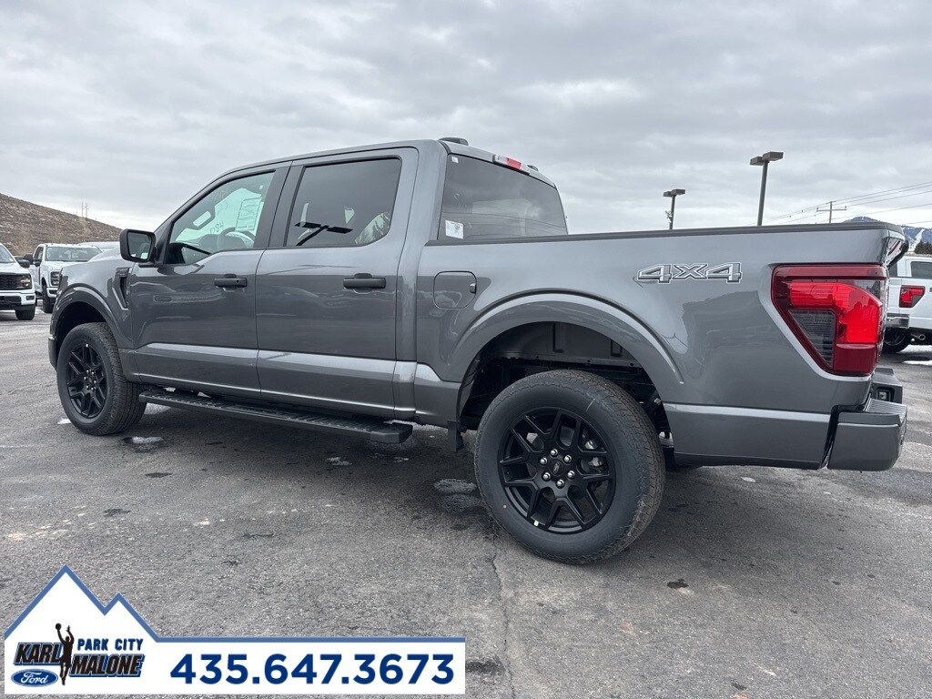 2025 Ford F-150 STX photo 3