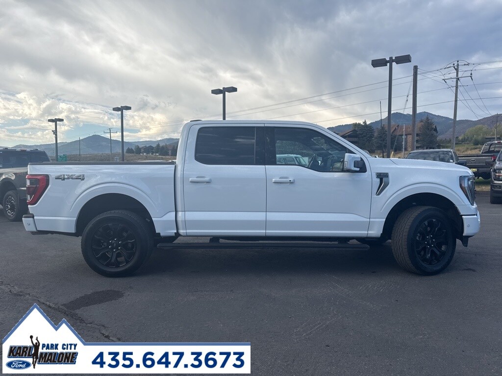 2022 Ford F-150 Platinum photo 3
