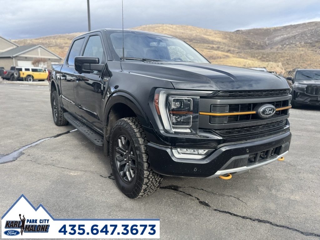 2023 Ford F-150 Tremor's photo