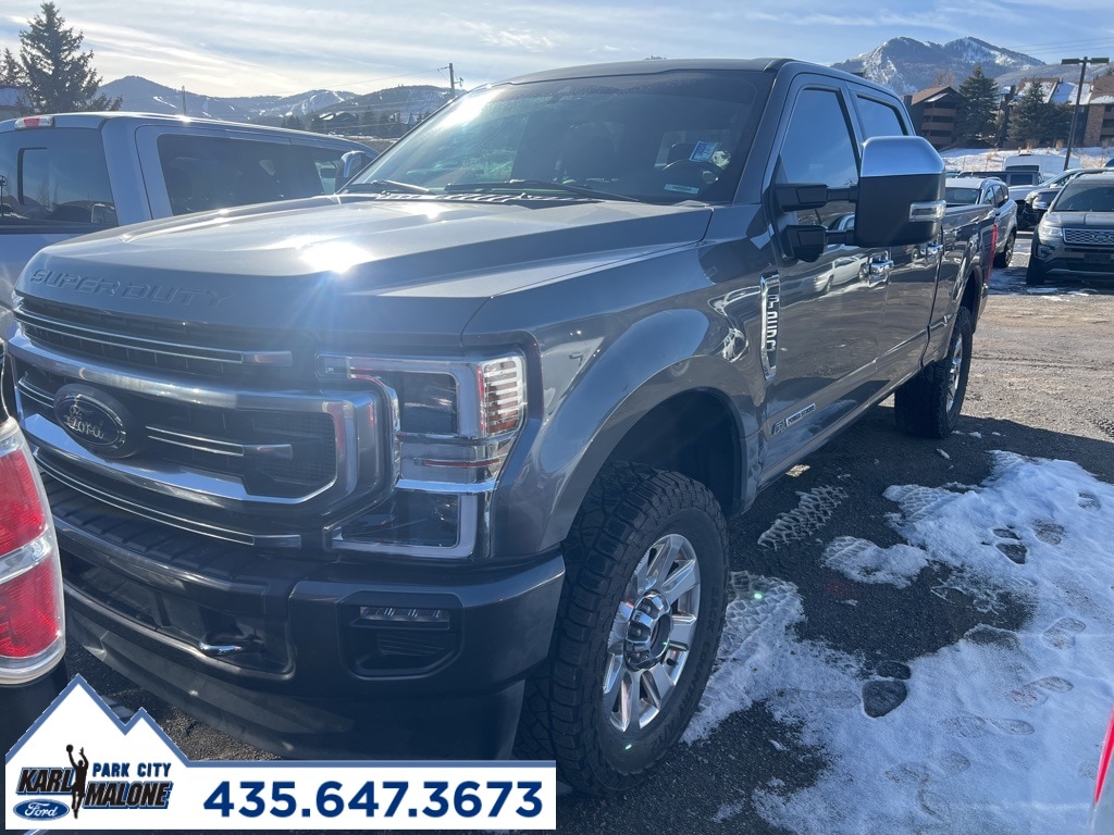 2021 Ford F-250 Super Duty Platinum's photo