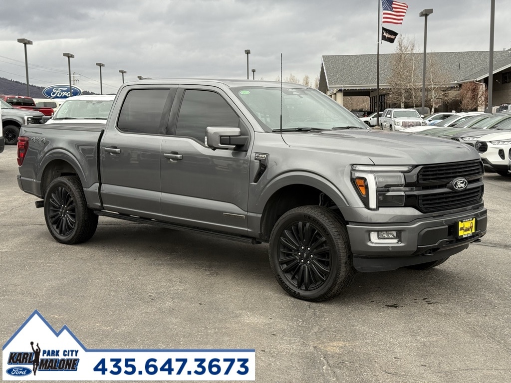2024 Ford F-150 Platinum's photo