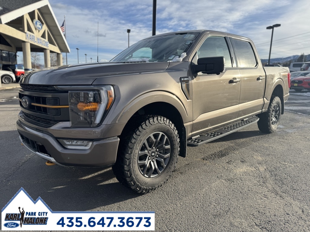 2022 Ford F-150 Tremor's photo