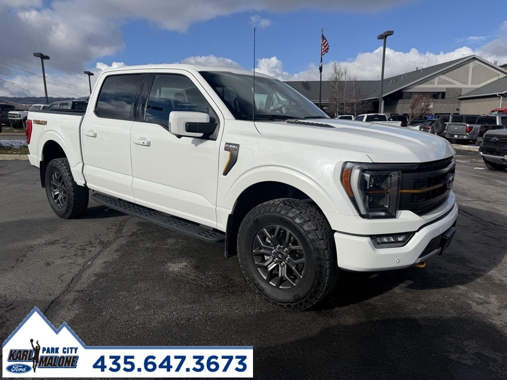 2023 Ford F-150 Tremor's photo