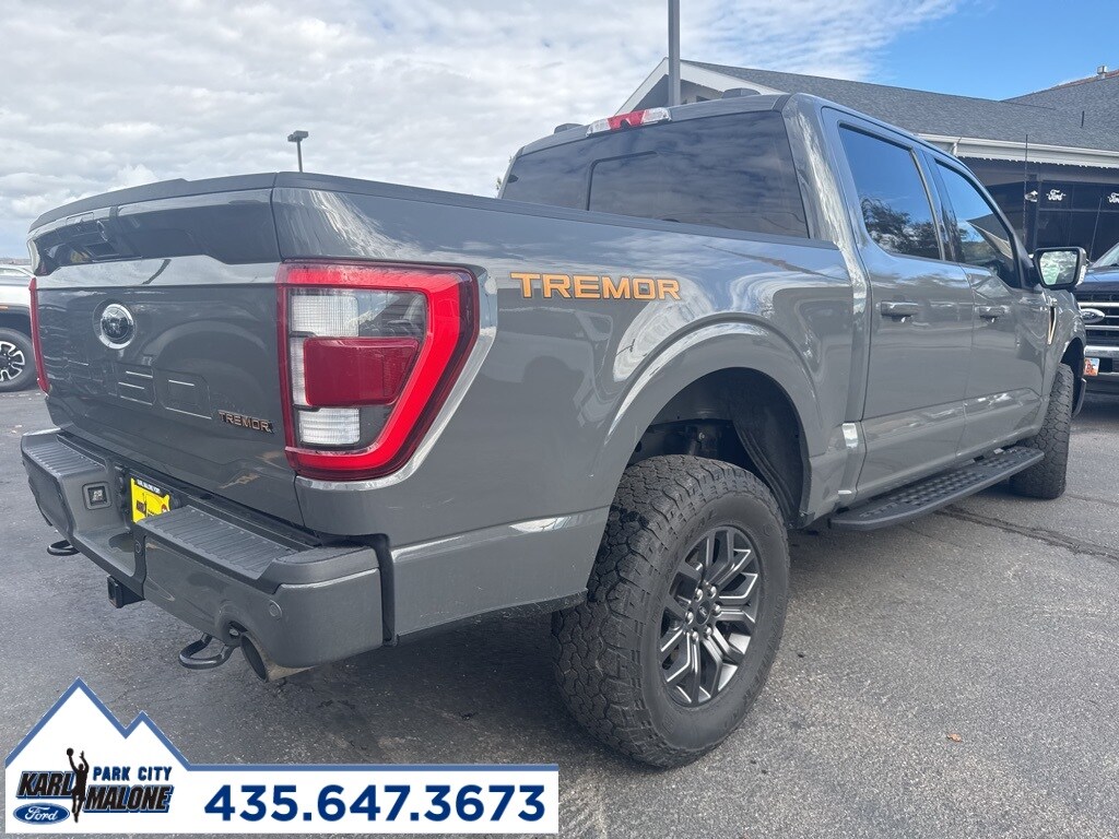2021 Ford F-150 Tremor photo 3