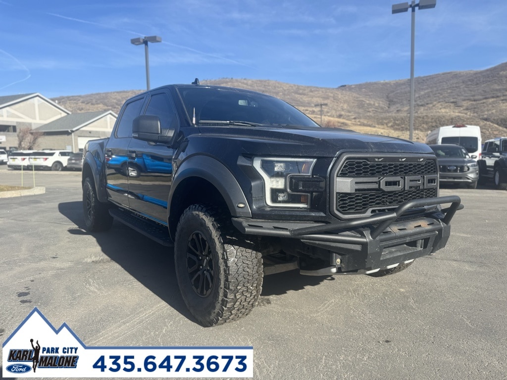 2020 Ford F-150 Raptor's photo