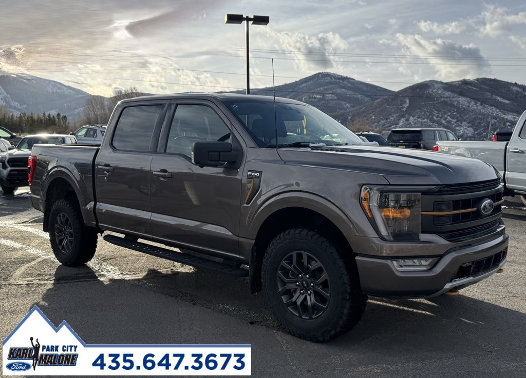 2022 Ford F-150 Tremor's photo
