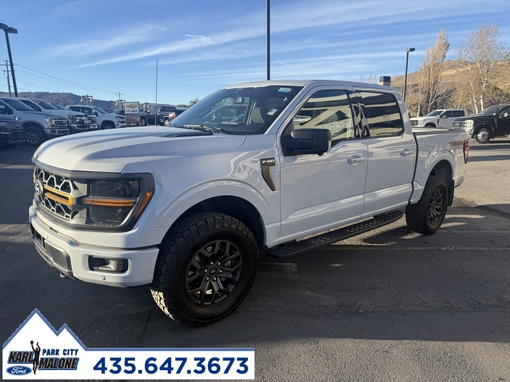 2025 Ford F-150 Tremor's photo