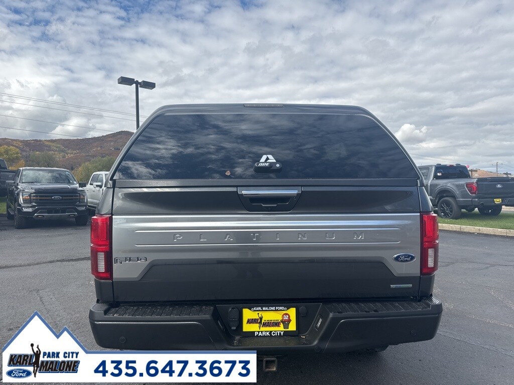 2019 Ford F-150 Platinum photo 3