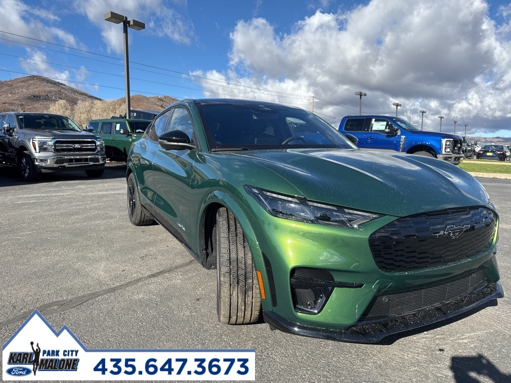 2025 Ford Mustang Mach-E GT AWD's photo