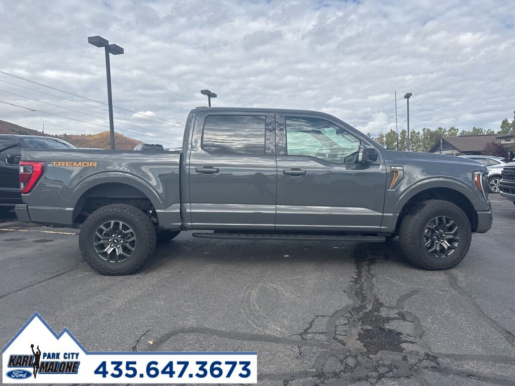 2021 Ford F-150 Tremor photo 2