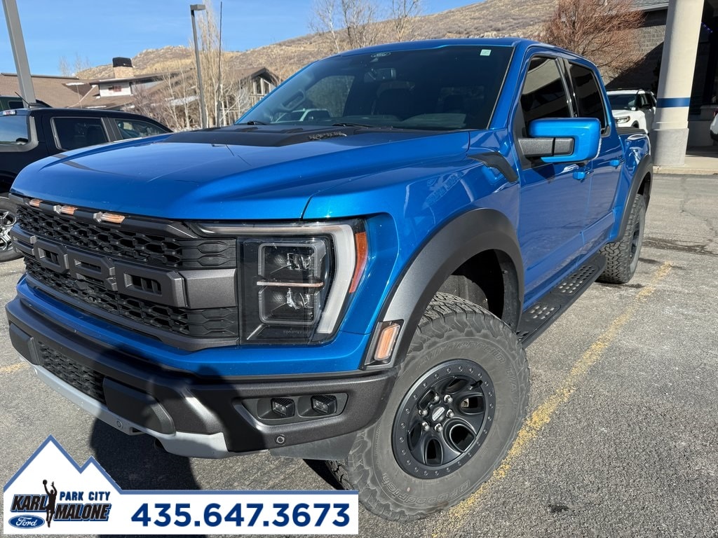 2021 Ford F-150 Raptor's photo