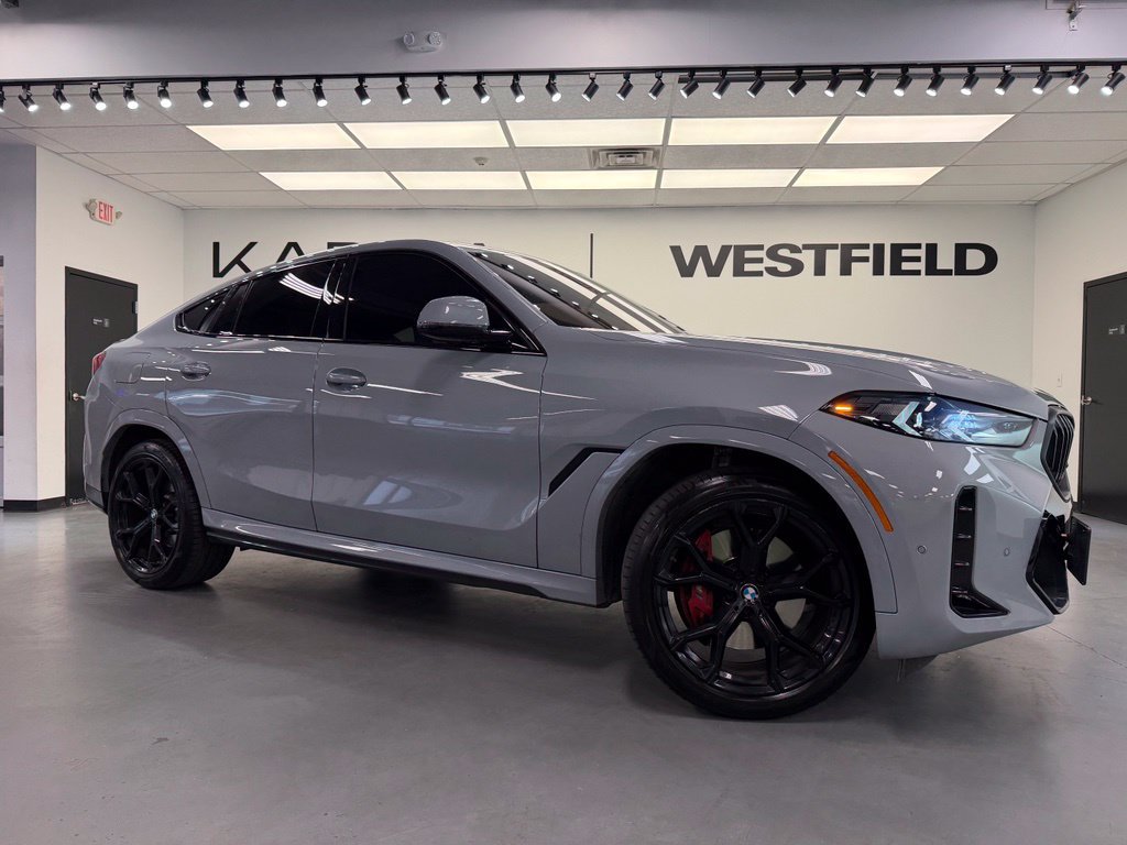 2024 BMW X6