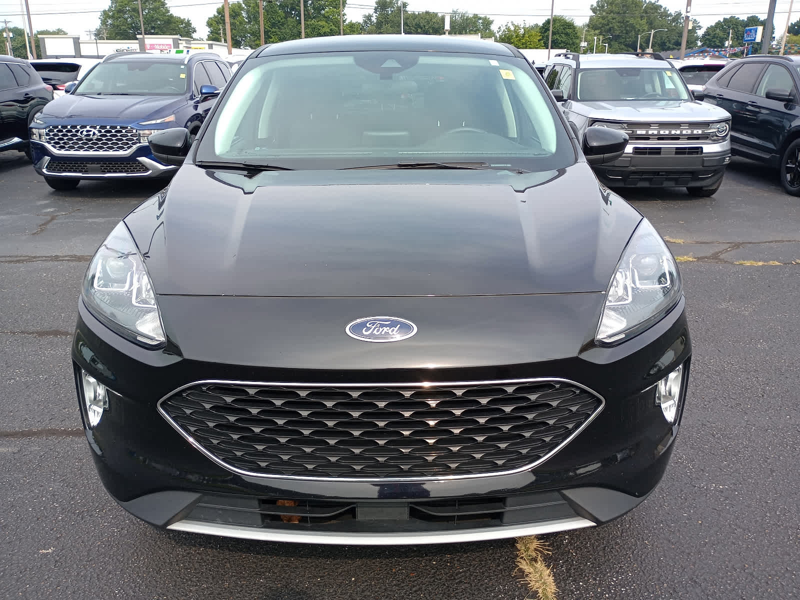 Used 2022 Ford Escape SEL with VIN 1FMCU9H69NUA24176 for sale in Henderson, KY