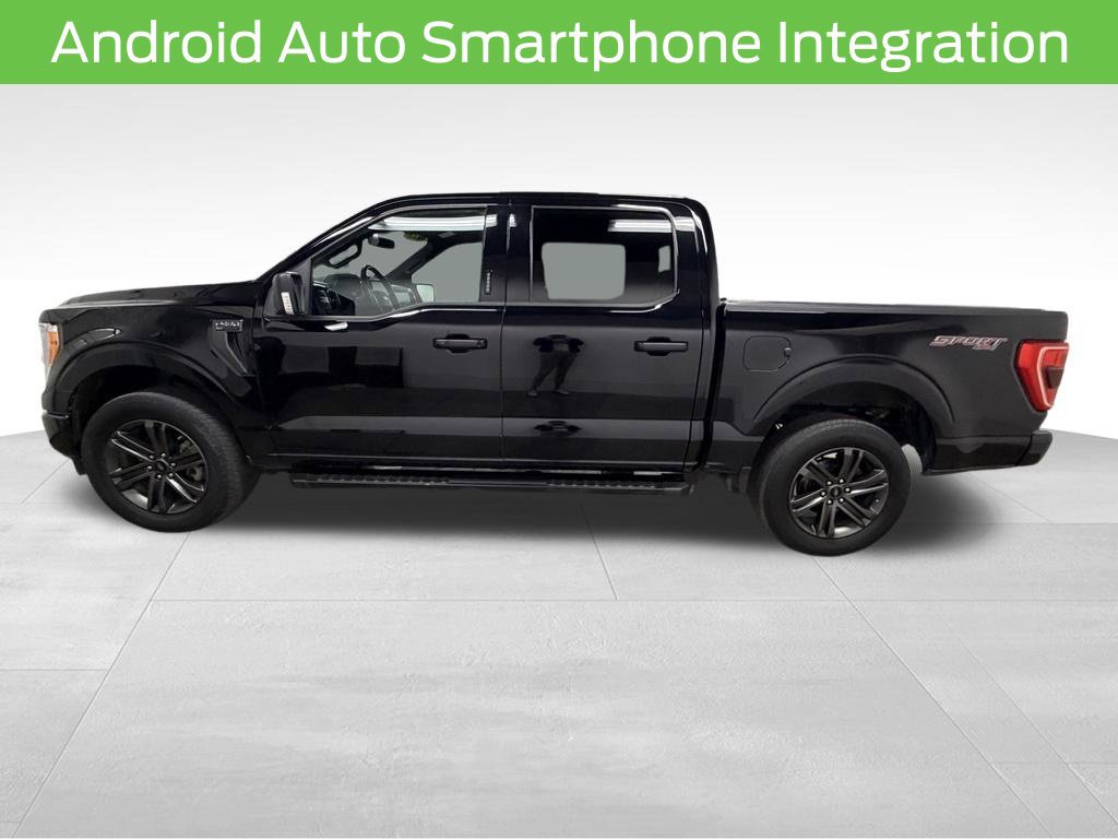 2023 Ford F-150 XLT - Photo 6