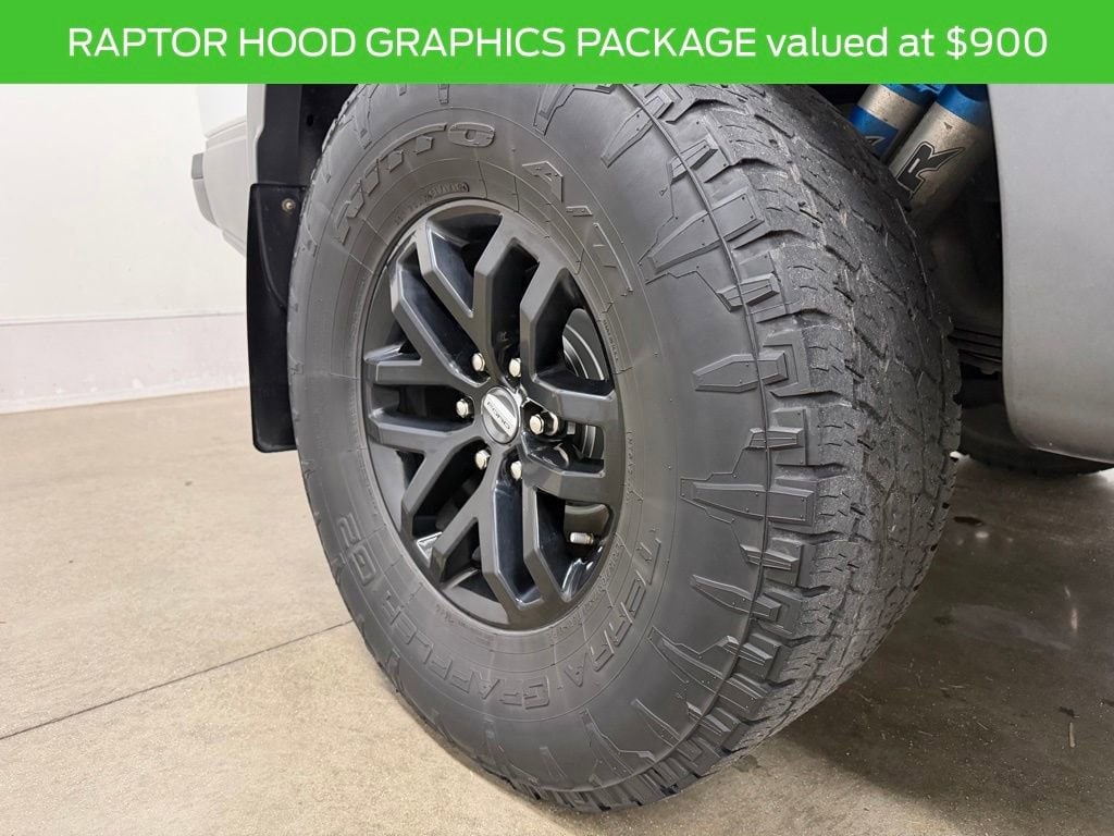 2018 Ford F-150 Raptor - Photo 9