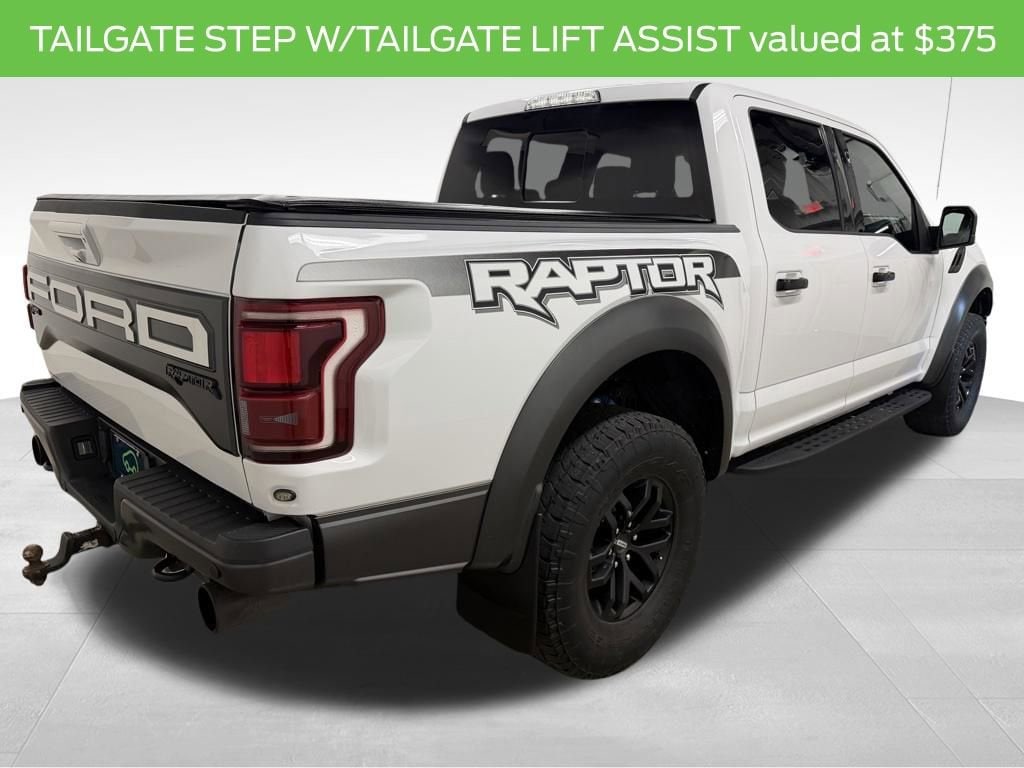 2018 Ford F-150 Raptor - Photo 11