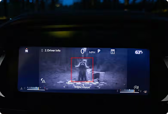 Night Vision Camera