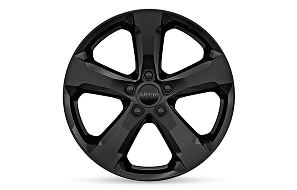 20-Inch High-Gloss Black