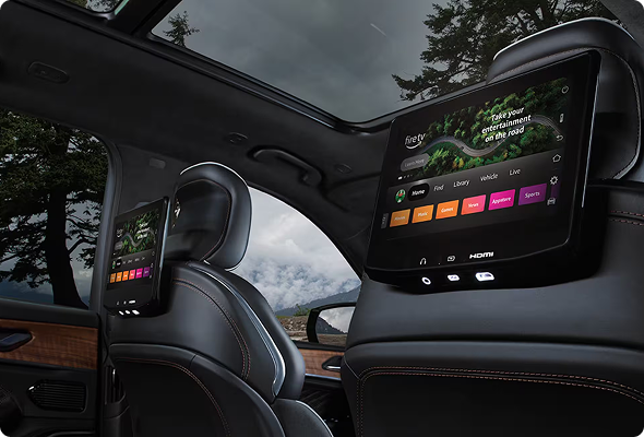 Rear Seat Entertainment