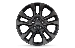20-Inch Black Noise