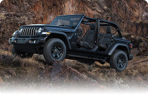 17-inch black steel styled wheels