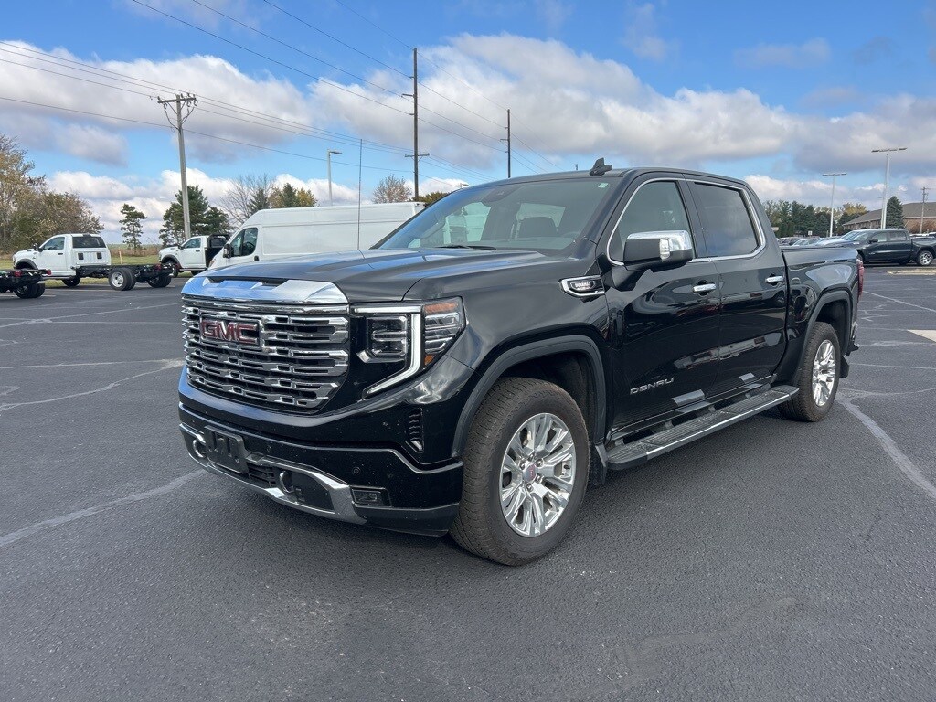 2024 Gmc Sierra 1500 Denali photo 3