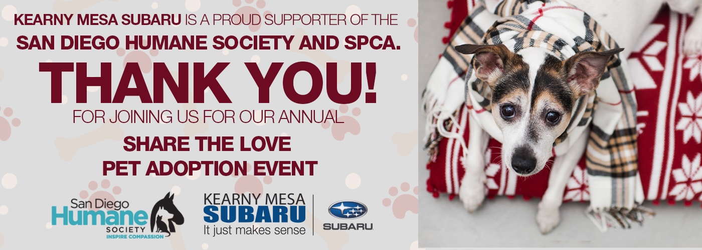 San Diego Pet Adoption Event | Kearny Mesa Subaru's 9th Annual