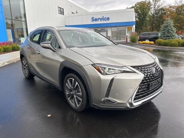 2021 Lexus UX 250h photo 3