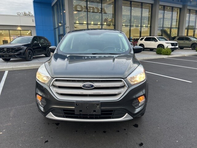 2019 Ford Escape SE photo 2