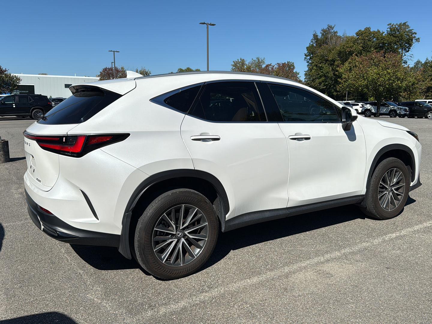 2024 Lexus NX 250 photo 3