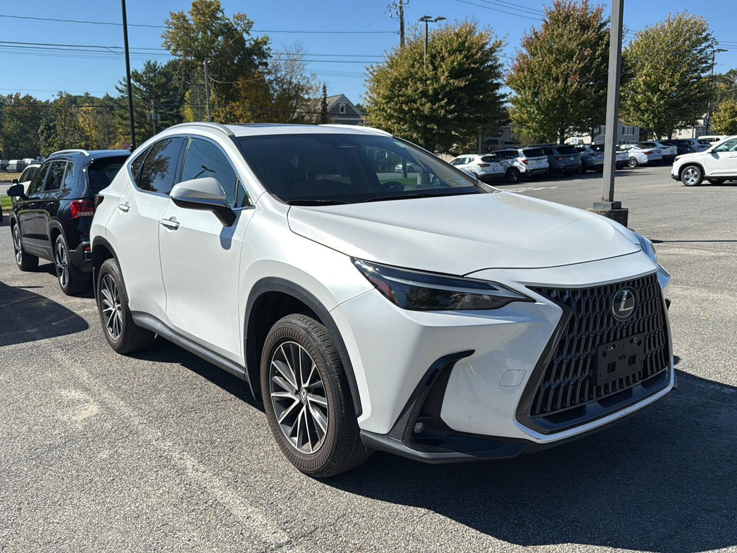 2024 Lexus NX 250 photo 2