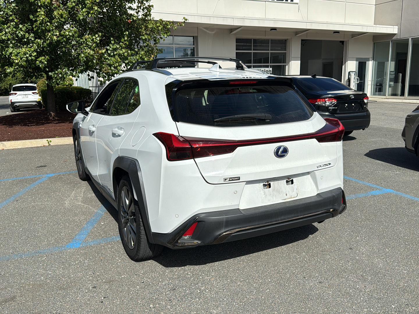 2019 Lexus UX 250h F SPORT photo 3