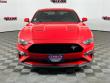 2019 Ford Mustang GT Premium Coupe 2019 Ford Mustang GT Premium Coupe
