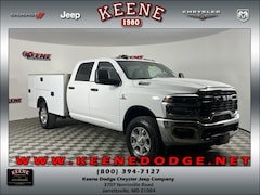 2025 Ram 3500 Chassis Cab 3500 TRADESMAN CREW CAB CHASSIS 4X4 60' CA Pickup
