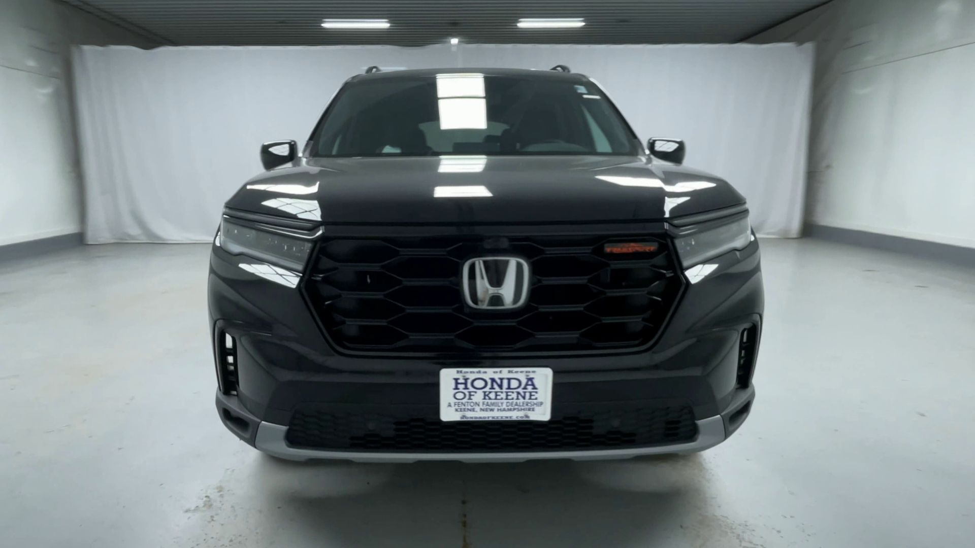2025 Honda Pilot TrailSport photo 4