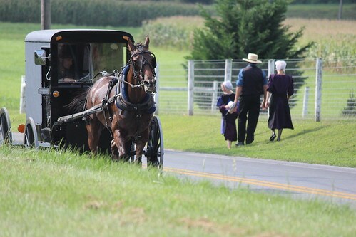 amish-buggy-amish-family-heritage-dutch-country-lancaster-pa-excerpt