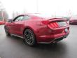 New 2019 Ford Mustang Coupe near Belmont