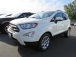 New 2019 Ford EcoSport SE SUV near Belmont