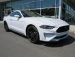 New 2019 Ford Mustang Coupe near Belmont
