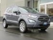 New 2019 Ford EcoSport SE SUV near Belmont