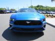 New 2019 Ford Mustang Coupe near Belmont