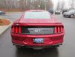 New 2019 Ford Mustang Coupe near Belmont